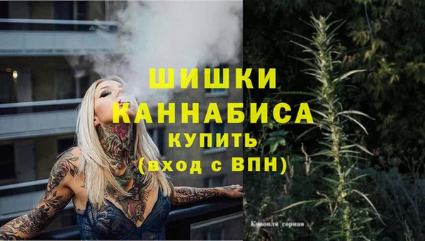 МДПВ Алексеевка