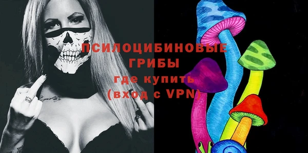 МДПВ Алексеевка