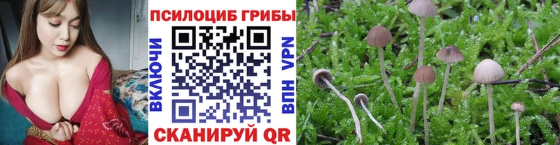 Галлюциногенные грибы ЛСД  Усолье-Сибирское 