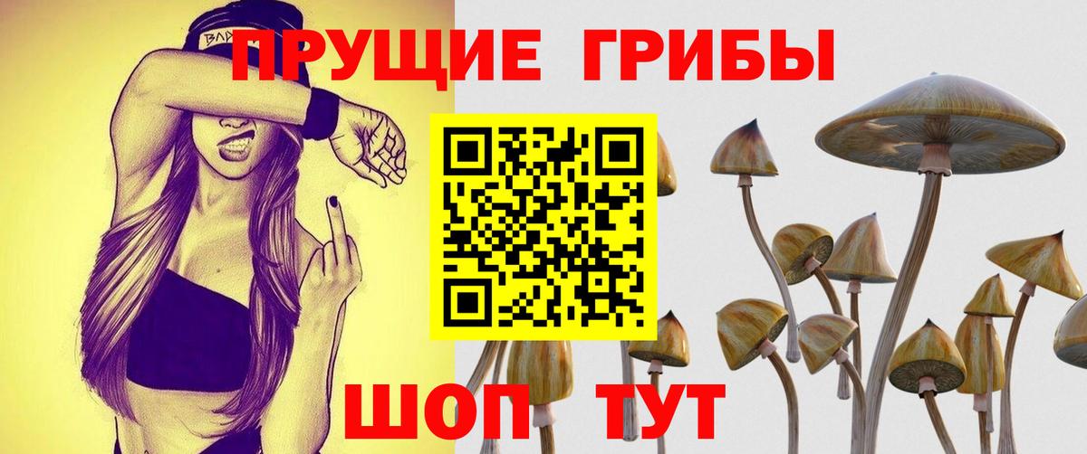 Усолье-Сибирское  Галлюциногенные грибы Magic Shrooms  Вход с VPN  Галлюциногенные грибы прущие грибы 