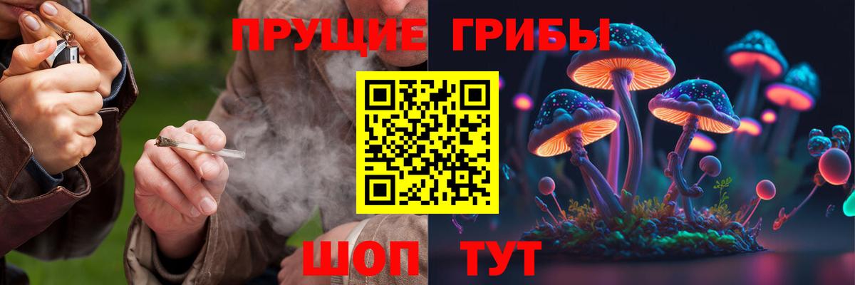 Псилоцибиновые грибы Psilocybe Усолье-Сибирское